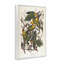 «Classic Carolina Parrot Study», art giclée par one1000paintings-107872910-111767468