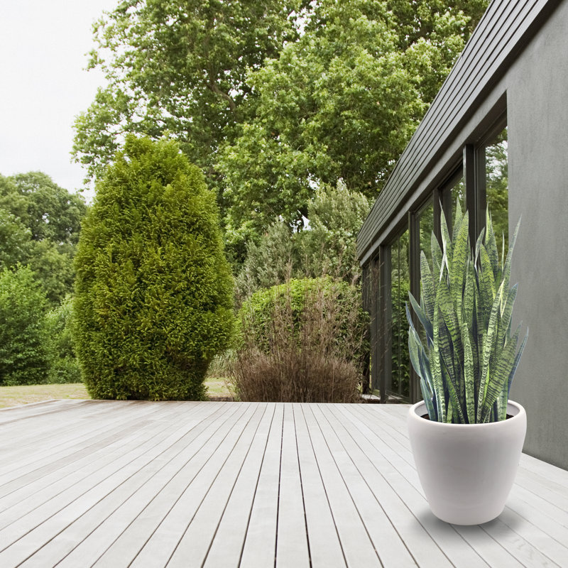 Ceramic Pot Planter