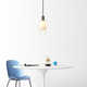 Eldine Single Light Glass Dimmable Pendant