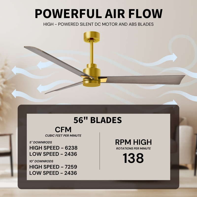 Alessandra Outdoor Downrod Ceiling Fan, Gray Ash Tone, Brushed Brass