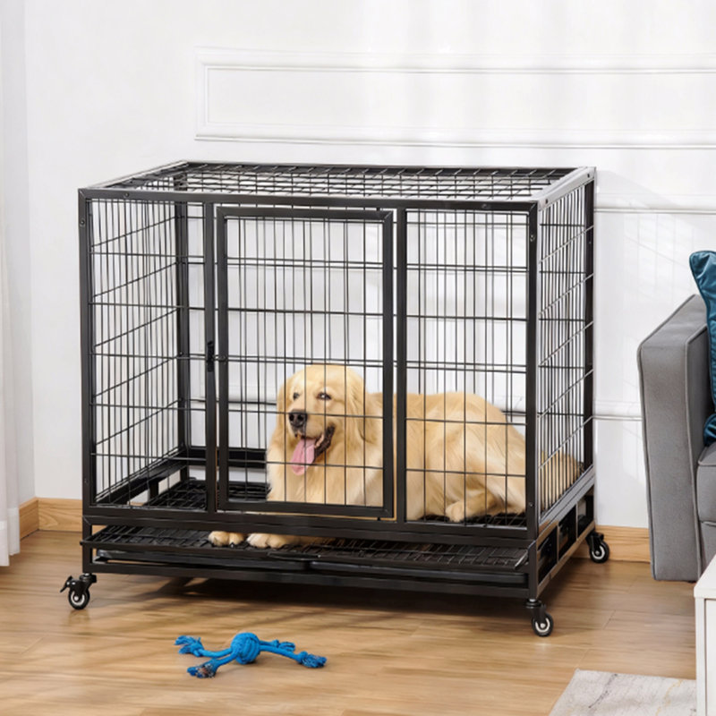 Cage en métal robuste pour chenil