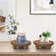 Paquet de 2 supports pour plantes d'intérieur rondes et supports pour plantes Grigoriy-358073033-372554791