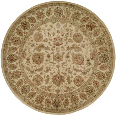 Wool Oriental Area Rug in Beige