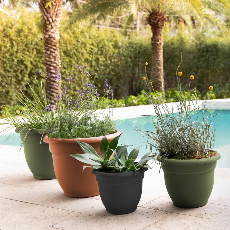 Pot à fleurs intérieur / extérieur Traditional, Terre cuite, H 13,75 po x l 17,75 po x P 17,75 po
