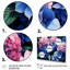 Rose et mauve, fleurs d'hortensia harmonie I - art mural hortensia-135566359-135568355