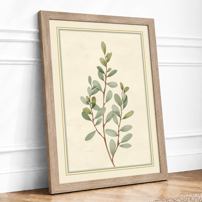 Study Botanical - Framed Print