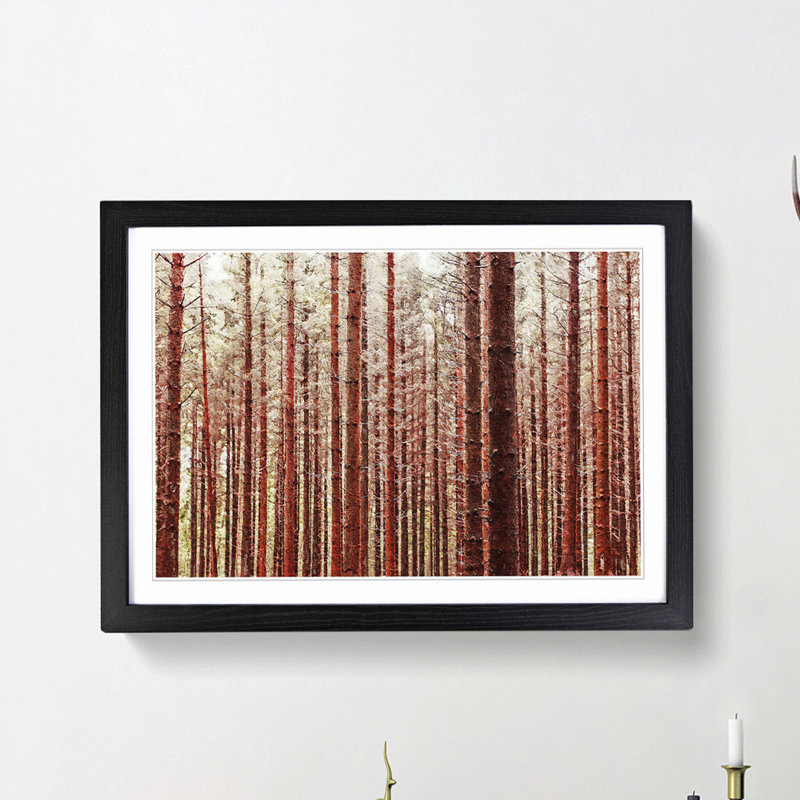 Red Forest in the Autumn - Picture Frame Photograph Print, 36cm H x 48cm W x 2cm D, Black Framed