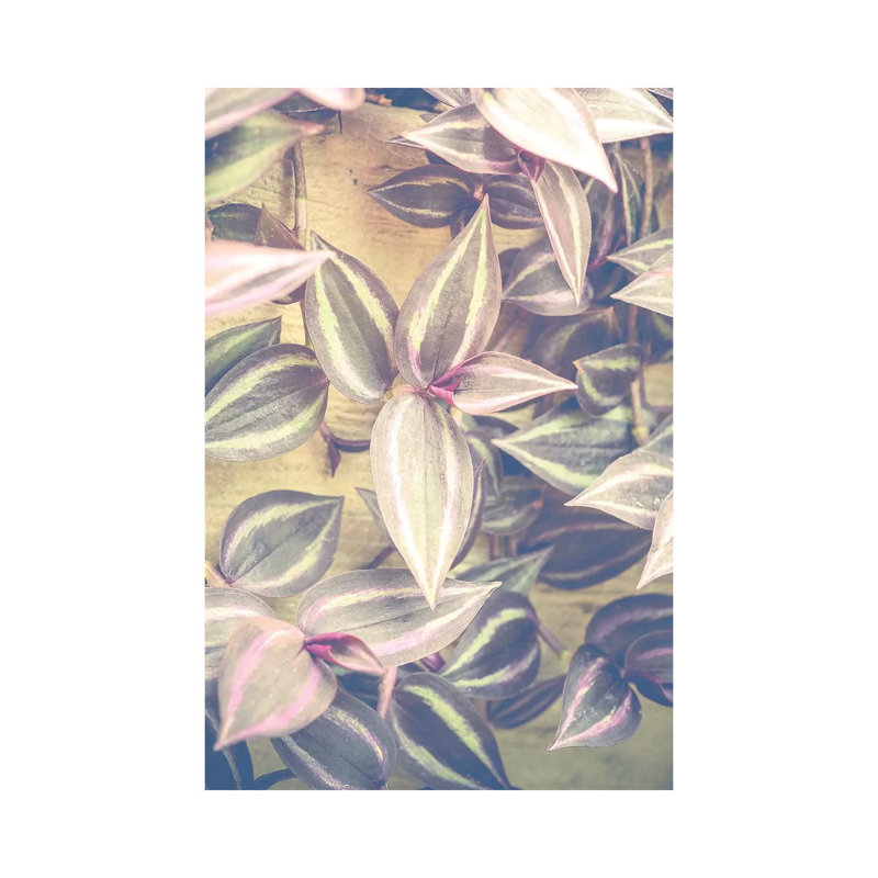 Trailing Leaves 1 Piece Wrapped Canvas Wall Art, 30.48 cm H x 45.72 cm W