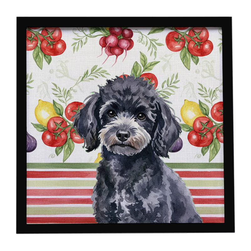 Jouet, caniche noir, légumes, impression sur métal encadrée, Noir