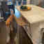 Customer photo 3 of 3