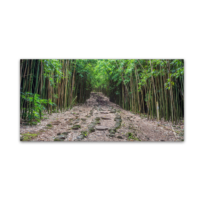 Gold Framed Maui Bamboo Forest Landscape Canvas Art