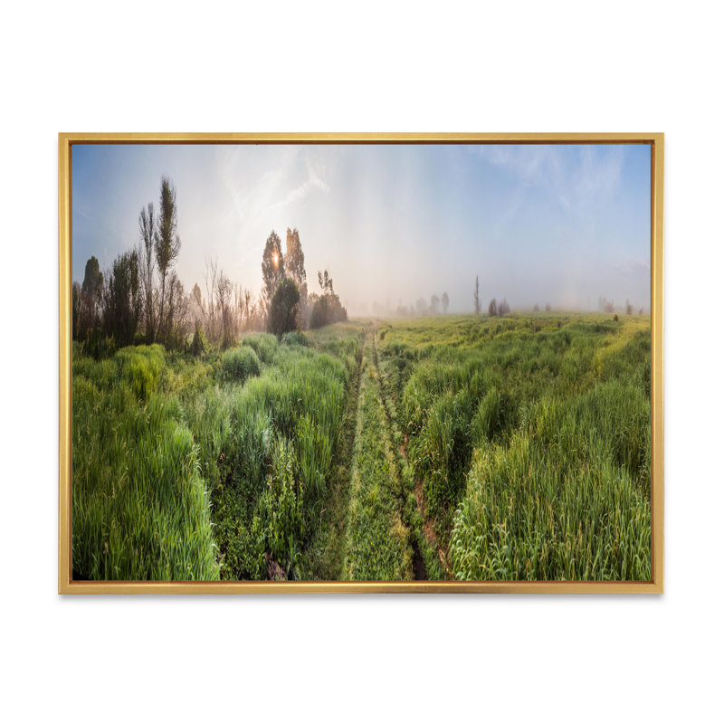 «Rustic Landscape Pathway In The Fields», reproduction d'art sur toile, H 30 po x l 40 po, Cadre flottant doré