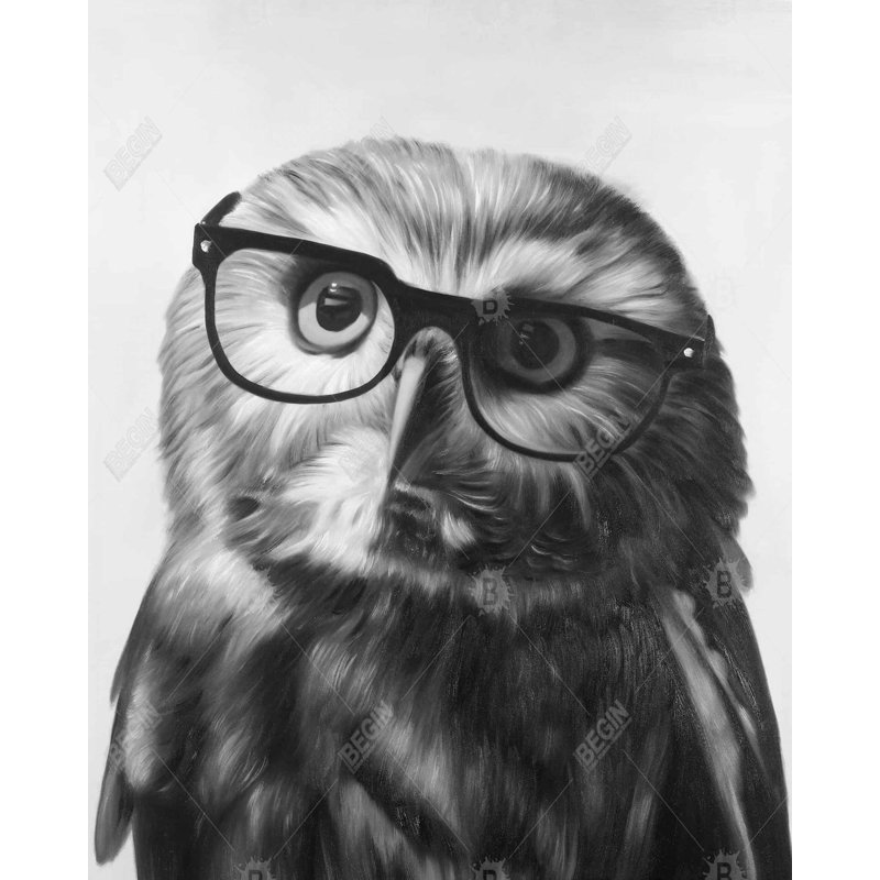 «Realistic Northern Saw - Whet Owl» avec reproduction de lunettes sur toile