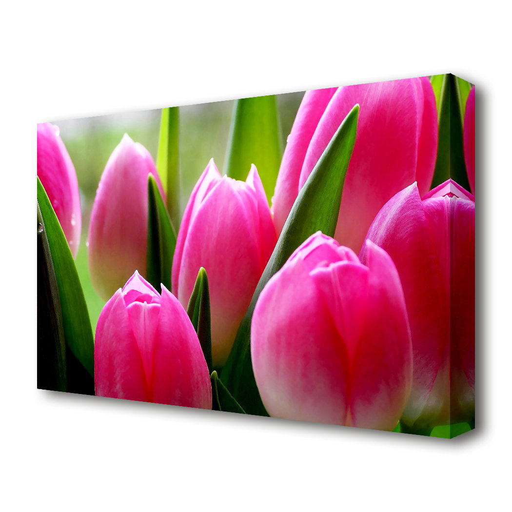 East Urban Home Pink Tulip Garden Surprise Flowers Canvas Print Wall ...