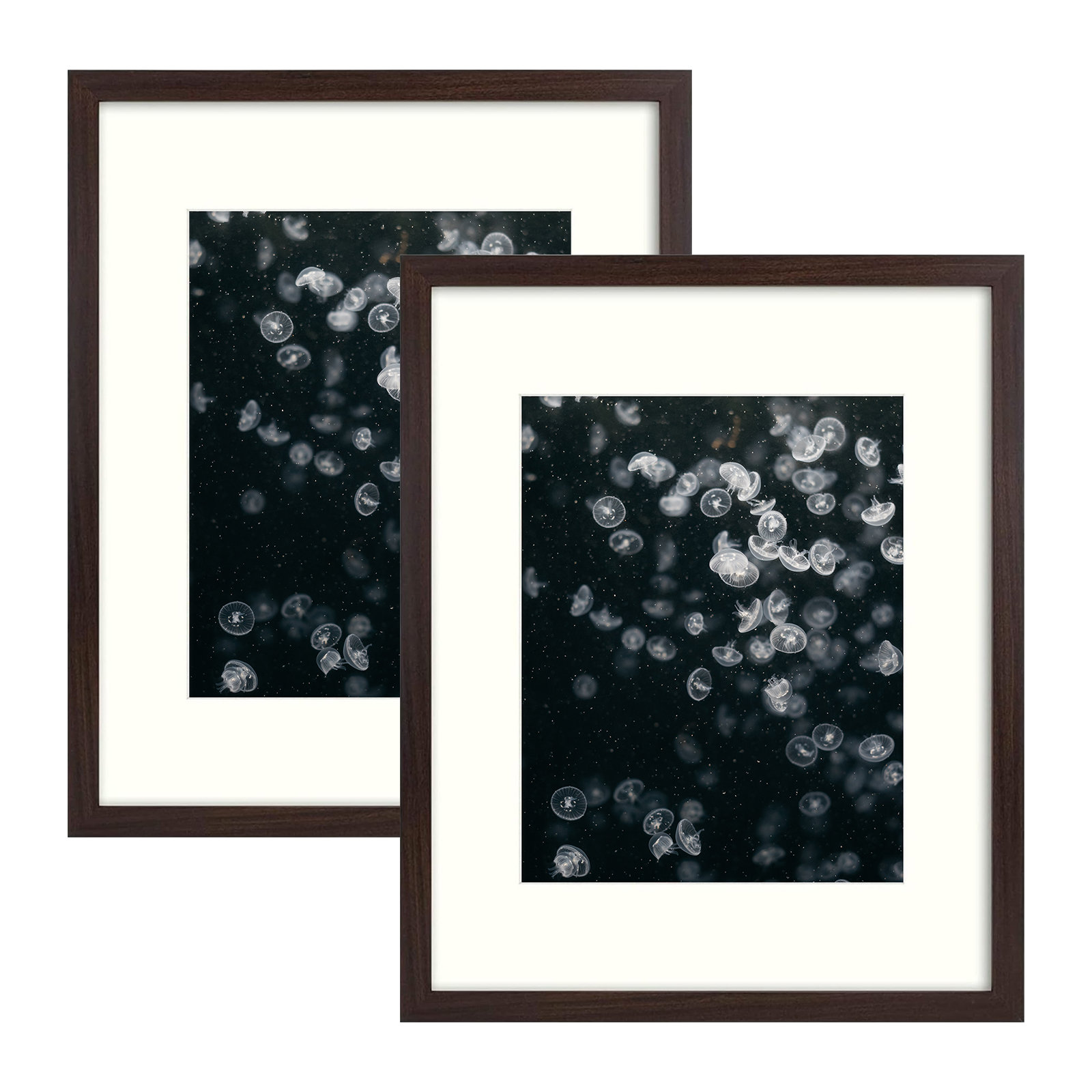 Basics by Wayfair® Dreketi Matte MDF Wall Hanging Picture Frame & Reviews | Wayfair