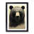 Black Framed selected