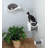 TRIXIE Wall Mounted Cat Lounge Set, Hammock and Condo with Two Steps, Cat Furniture, Scratching Post-43629545