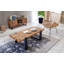 Galento Sled Coffee Table