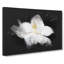 Blooming White Magnolia - Wrapped Canvas-56647296