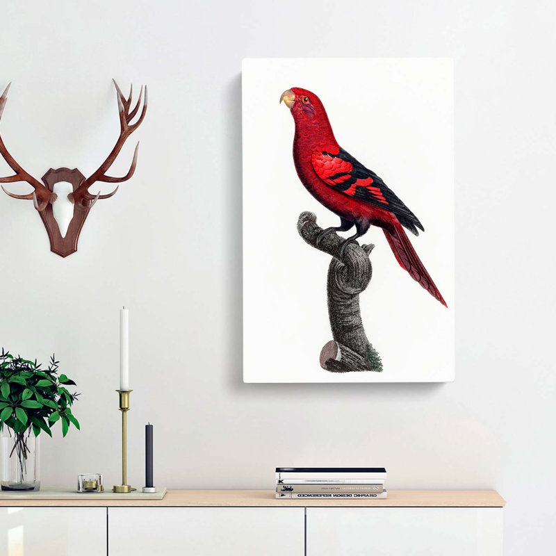 A Violet-Necked Lory by F. Levaillant - Wrapped Canvas Painting, 50cm H x 35cm W x 3cm D