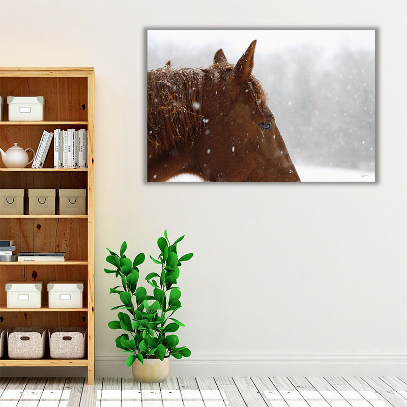 Snowy Caleb - reproduction d'art sur toile, H 20 po x l 30 po