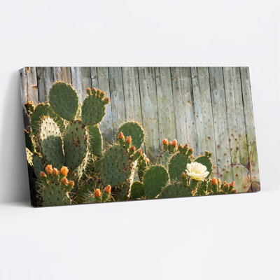 Ensemble de 1 tableau sur toile Fleur de cactus
