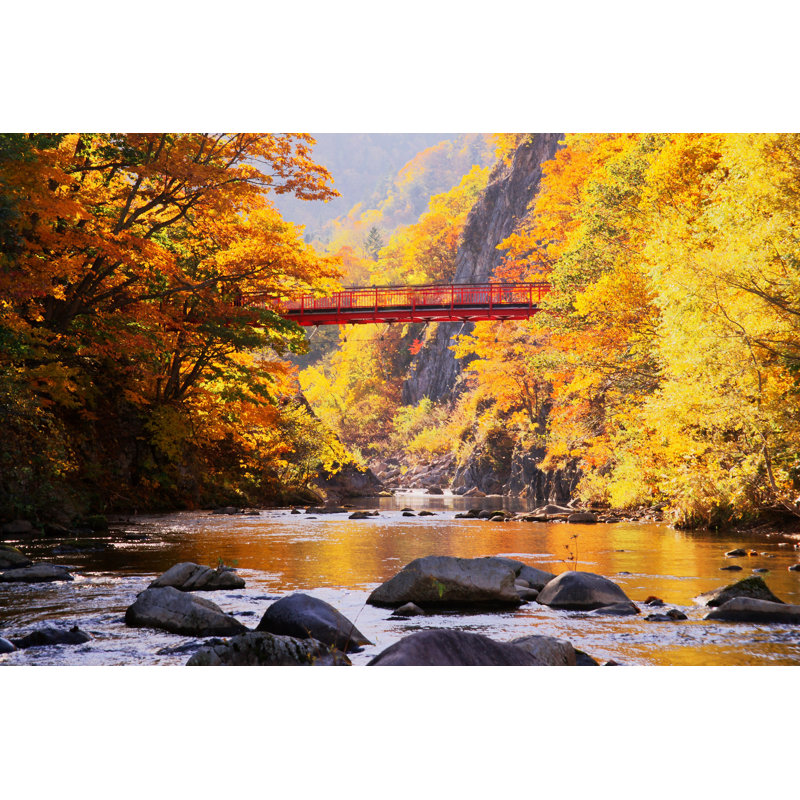 Late Fall - Wrapped Canvas Print, 30cm H x 46cm W x 3.8cm D