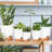 Plant Pots with Drainage Hole-396551369