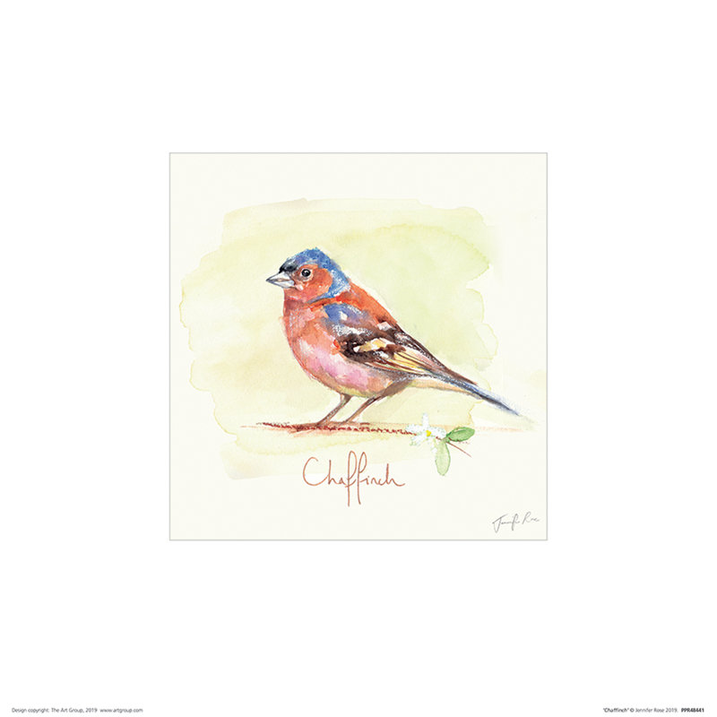 Chaffinch by Jennifer Rose - No Frame Painting