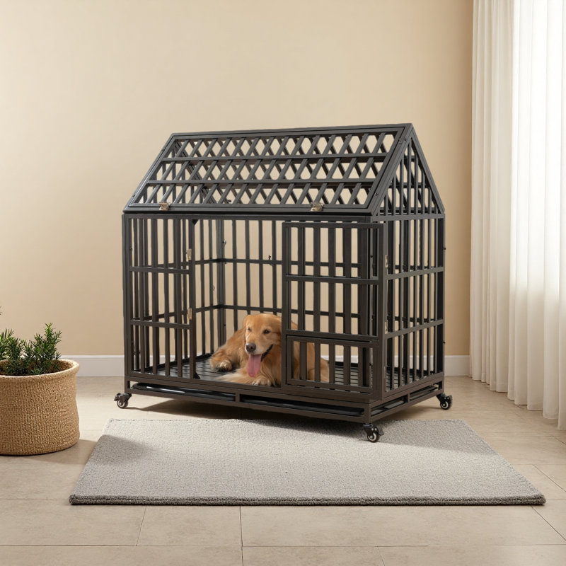 Cage pour chien robuste avec toit et fenêtre sur le toit