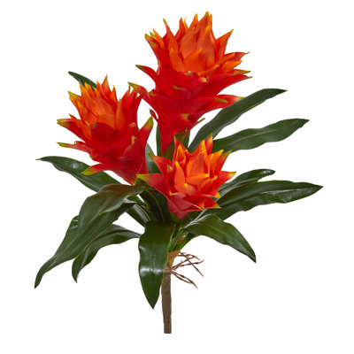 Bromeliad Floral Stems