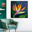 Fleur exotique d'oiseau du paradis sur toile-250156344