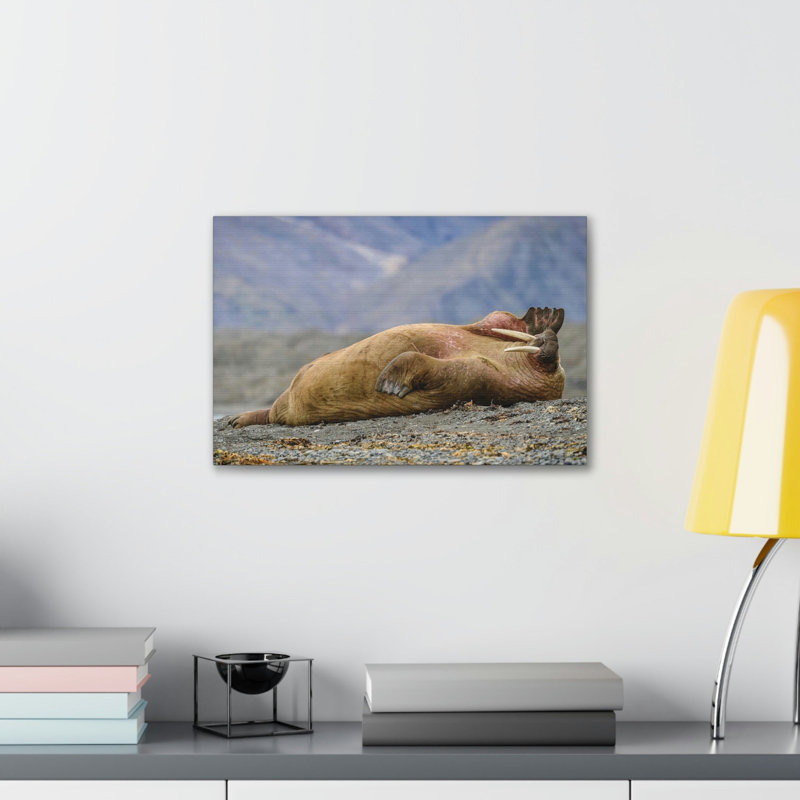 Drôle de morse, seuil, art mural extérieur, H 11 po x l 14 po