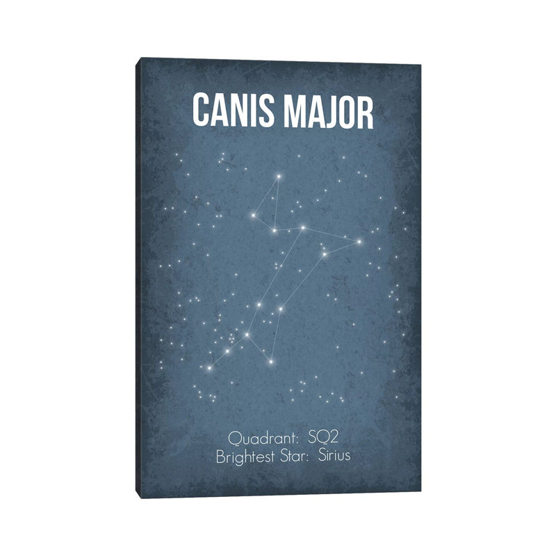 Canis Major by GetYourNerdOn - Wrapped Canvas Gallery-Wrapped Canvas Giclée, 20.32 cm H x 30.48 cm W