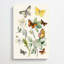 Caterpillars, Moths & Butterflies by W.F. Kirby - Wrapped Canvas-55312971