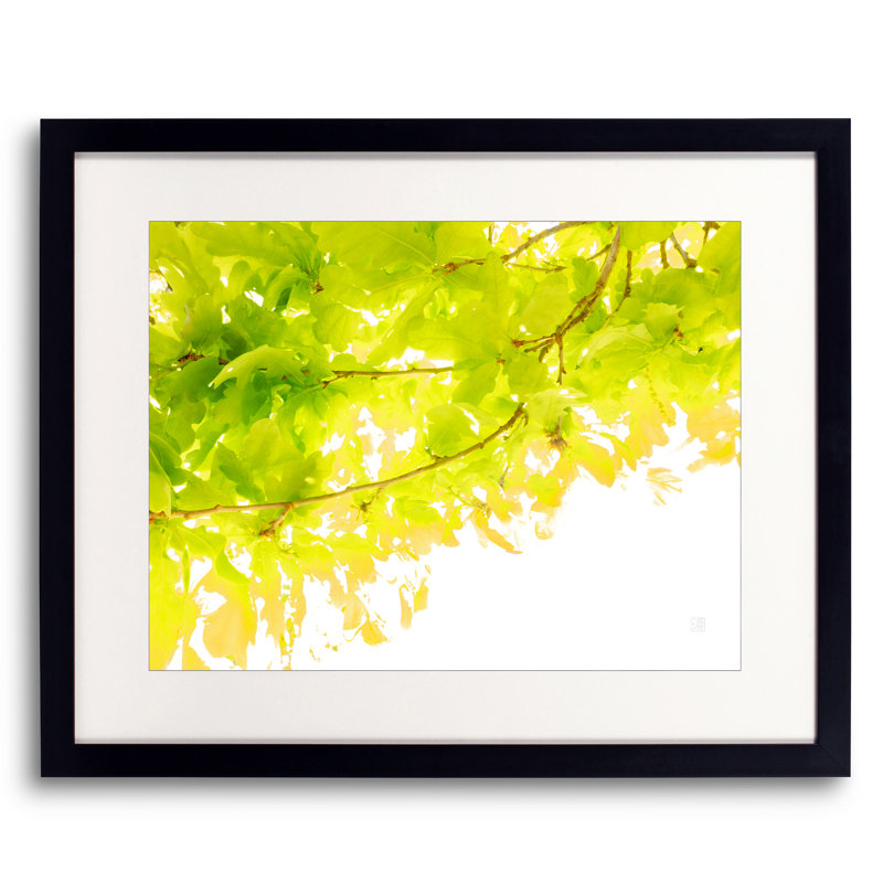 Sunkissed Oak _ 3643 Print by Petra Trimmel, Black Framed Paper, 17.25" H x 21.25" W