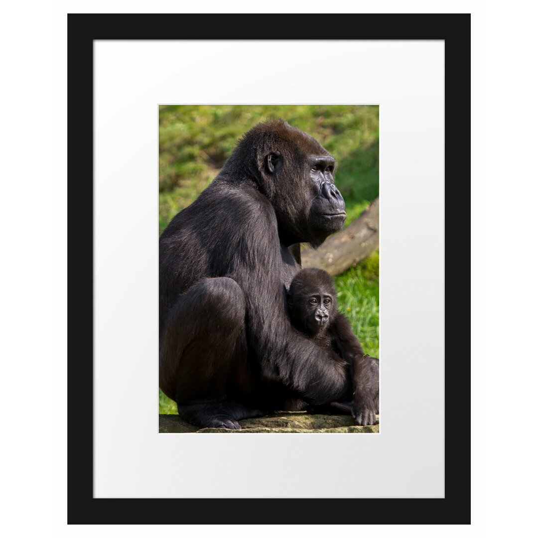 Gerahmtes Poster Liebevolle Gorillafamilie