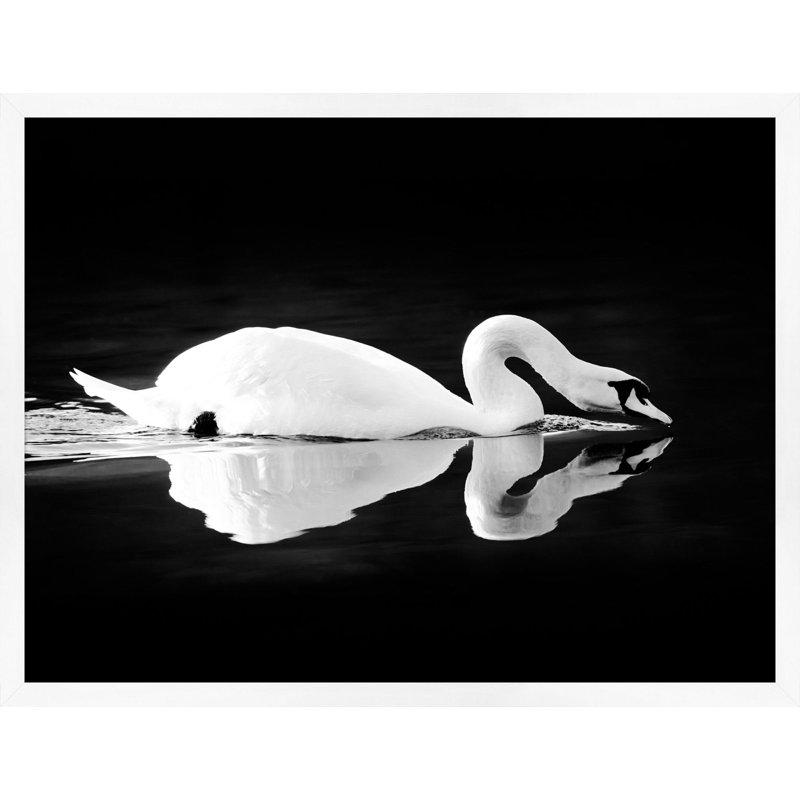 Lillian August " Gliding Swan " by Lillian August