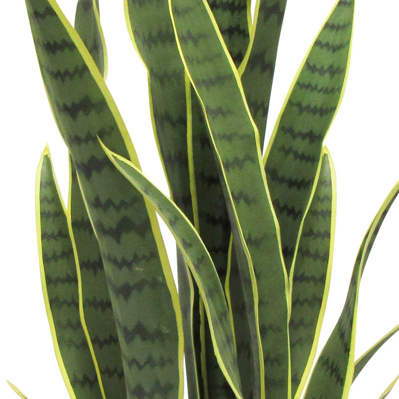 Plante de serpent artificielle Sansevieria en pot, H 34 po x l 12 po x P 12 po