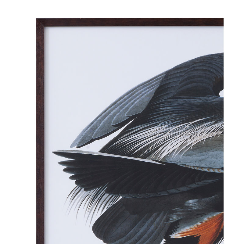Audubon Great Blue Heron, reproduction encadrée d'art côtier dans un cadre en noyer