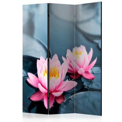 Krisdapor 172cm H Folding Room Divider
