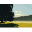 Field And Fog, Early A.M Print by Evan Sklar