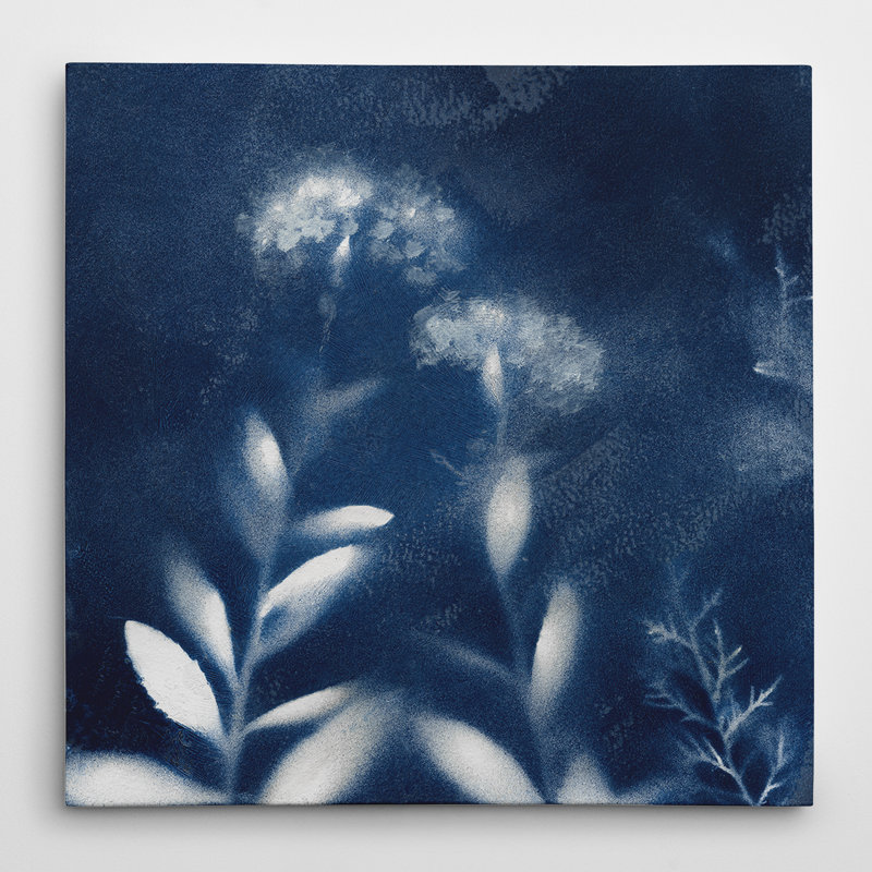 « nature indigo ii », impression sur toile, H 16 po x l 16 po x P 1,5 po