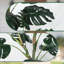 120 cm H Faux Plant
