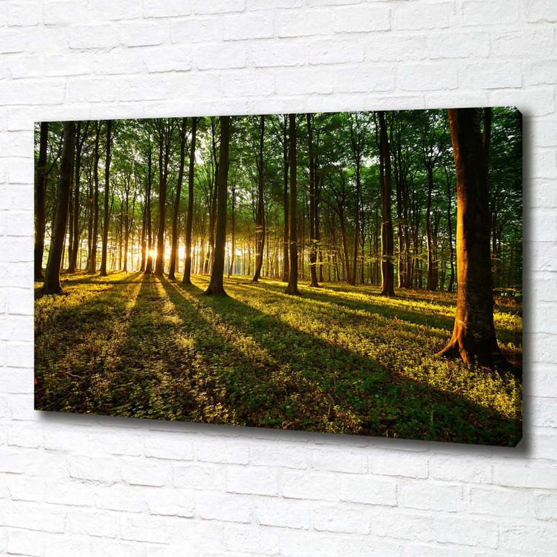 Rays Of The Sun - Wrapped Canvas Print