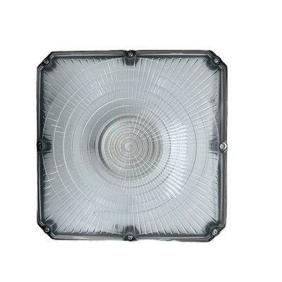 Dimmable Square Flush Mount