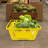 Red Barrel Studio Polypropylene Plastic Basket