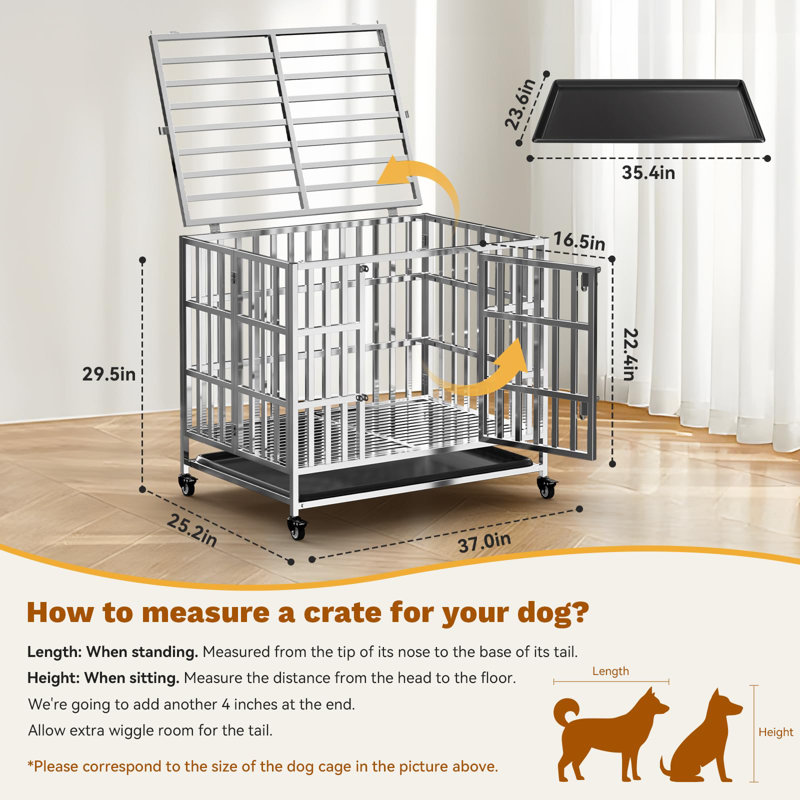 Stainless Steel Dog Cage & Playpen, Small (30.2" H x 35.2" W x 37" D)