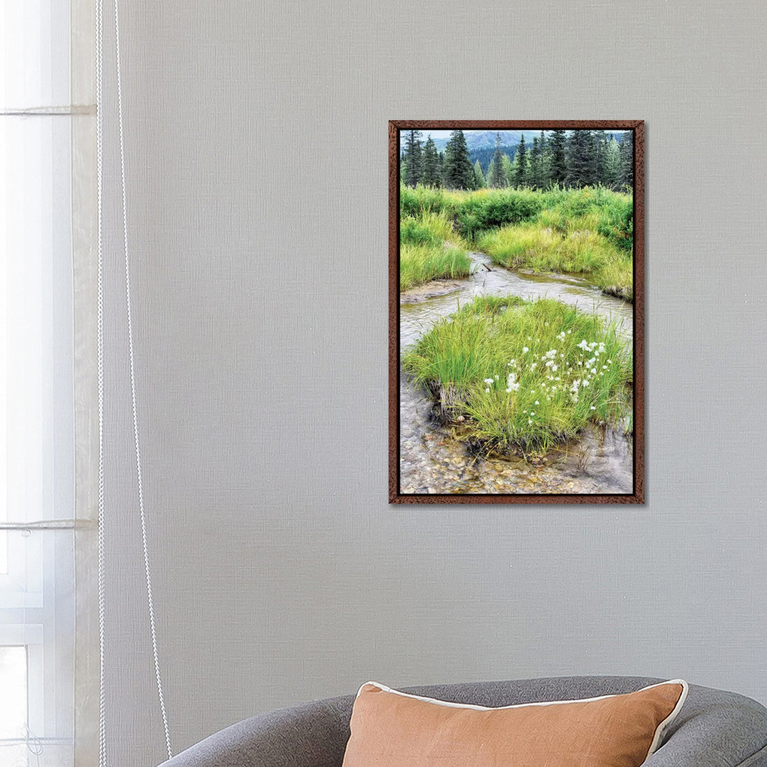Alaska Marshland by Savanah Plank - Gallery-Wrapped Canvas Giclée on Canvas