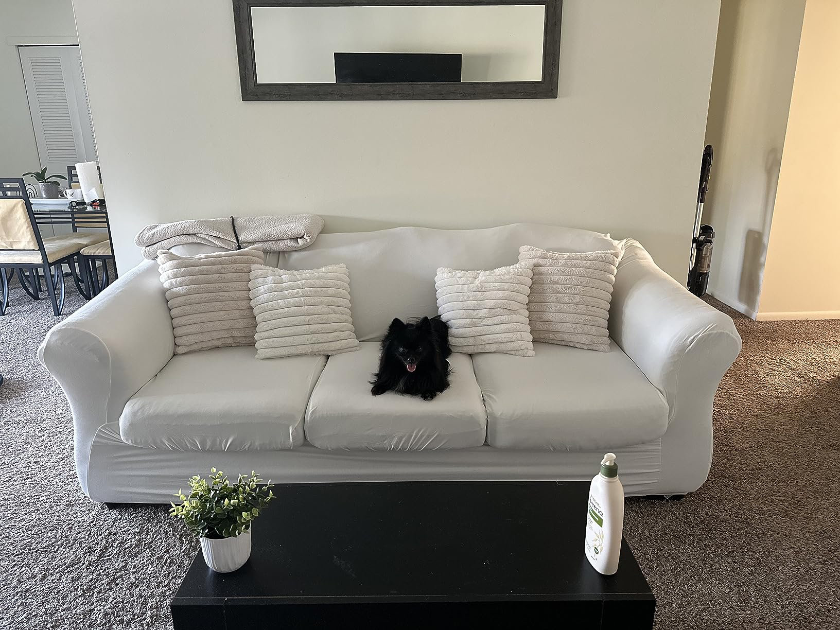 Picture of CarMax - Shop for used cars, then buy online or at a store